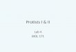 Protists I & II Lab 4 BIOL 171. Remember!: Classification System