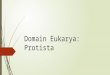 Domain Eukarya: Protista. Domain Eukarya  Every living thing on Earth, except for bacteria and archaea  More complex organization  Have a nucleus