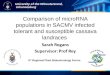 Comparison of microRNA populations in SACMV infected tolerant and susceptible cassava landraces 9 th Regional Plant Biotechnology Forum