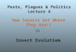 How Insects Got Where They Are!! Or Insect Evolution Pests, Plagues & Politics Lecture 4
