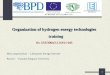 1 Organization of hydrogen energy technologies training No. ESF/2004/2.5.0-K01-045 Main organization - Lithuanian Energy Institute Partner - Vytautas Magnus