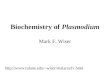 Biochemistry of Plasmodium Mark F. Wiser wiser/malaria/fv.html