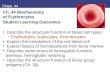 Chapt. 44 Ch. 44 Biochemistry of Erythrocytes Student Learning Outcomes : Describe the structure/ function of blood cell types: Erythrocytes, leukocytes,
