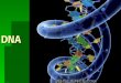 DNA. Deoxyribonucleic Acid DNA is found: In the nucleus In mitochondria and chloroplasts Functions of DNA: Control functions of cell by controlling protein