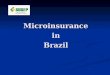 MicroinsuranceinBrazil. Brazilian Population Outlook