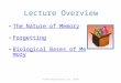 Lecture Overview The Nature of Memory Forgetting Biological Bases of Memory ©John Wiley & Sons, Inc. 2010