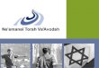 Ne’emanei Torah Va’Avodah Committed to Halachic Judaism, Tolerance, Democracy and Jewish Values in Israeli Life