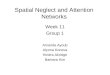 Spatial Neglect and Attention Networks Week 11 Group 1 Amanda Ayoub Alyona Koneva Kindra Akridge Barbara Kim