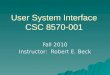 User System Interface CSC 8570-001 Fall 2010 Instructor: Robert E. Beck