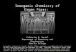Inorganic Chemistry of Organ Pipes: Composition and Corrosion Catherine M. Oertel Department of Chemistry and Biochemistry Oberlin College Created by Catherine