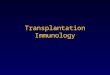Transplantation Immunology. Outline Definitions Transplantation antigens Antigen presentation and recognition Mechanisms of transplant rejection Effectors