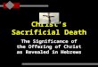 Christ’s Sacrificial Death The Significance of the Offering of Christ as Revealed in Hebrews