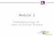 Module 2 Pathophysiology of veno-occlusive disease