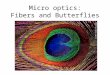 Micro optics: Fibers and Butterflies. Total internal reflection