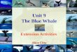 Unit 9 The Blue Whale Extension Activities Alice Chiu