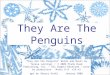 They Are The Penguins “They Are The Penguins" Words and Music by Teresa Jennings © 2009 Plank Road Publishing, Inc. All Rights Reserved Used by permission
