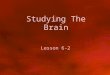 Studying The Brain Lesson 6-2. Objectives Identify the structure and functions of the human brain Discuss the different ways psychologists study the
