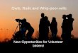 Owls, Rails and Whip-poor-wills New Opportunities for Volunteer birders!