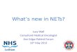 What’s new in NETs? Lucy Wall Consultant Medical Oncologist Ann Edgar Patient Forum 10 th May 2013