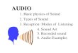 AUDIO 1. Basic physics of Sound 2. Types of Sound 3. Reception: Modes of Listening 4. Sound Art 5. Recorded sound 6. Audio Examples