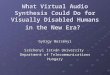 What Virtual Audio Synthesis Could Do for Visually Disabled Humans in the New Era? György Wersényi Széchenyi István University Department of Telecommunications
