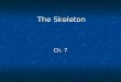 The Skeleton Ch. 7. 206 bones in human body 206 bones in human body Skeleton is divided into: Axial skeleton (80) - Skull, Thoracic Cage, and Vertebral