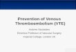 1 Prevention of Venous Thromboembolism (VTE) Andrew Nicolaides Emeritus Professor of Vascular Surgery Imperial College, London UK