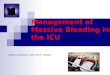 Management of Massive Bleeding in the ICU Ibrahim Al-Sanouri, MD, FCCP, FAAAAI