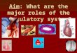 Aim: What are the major roles of the circulatory system?