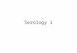 Serology 1. Serology In vitro Antigen- Antibody reactions Antigen- Antibody reactions are classified according to the physical state of antigen into: