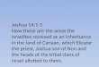 Joshua 14:1-5 Now these are the areas the Israelites received as an inheritance in the land of Canaan, which Eleazar the priest, Joshua son of Nun and