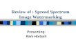 Review of : Spread Spectrum Image Watermarking Presenting: Rani Hoitash