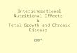 Intergenerational Nutritional Effects & Fetal Growth and Chronic Disease 2007