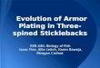 Evolution of Armor Plating in Three-spined Sticklebacks EEB 440: Biology of Fish Isaac Fine, Allie Leitch, Karen Baweja, Meagan Crofoot