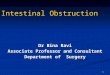 1 Intestinal Obstruction Dr Bina Ravi Associate Professor and Consultant Department of Surgery