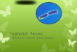 Typhoid fever Presented by Abhinay Sharma Bhugoo
