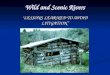 Wild and Scenic Rivers “ LESSONS LEARNED TO AVOID LITIGATION”