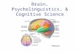 Brain, Psycholinguistics, & Cognitive Science. Outline How does psycholinguistics fit within the umbrella of cognitive science? What do we know about