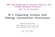 M-I Coupling Scales and Energy Conversion Processes Gerhard Haerendel Max Planck Institute for Extraterrestrial Physics 04 July 2013 MPE-JUB Symposium
