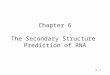 6 - 1 Chapter 6 The Secondary Structure Prediction of RNA