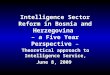 Intelligence Sector Reform in Bosnia and Herzegovina – a Five Year Perspective – Theoretical approach to Intelligence Service, June 8, 2009