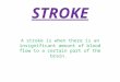 STROKE A stroke is when there is an insignificant amount of blood flow to a certain part of the brain