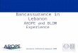 Insurance Conference-Damascus 2005 Bancassurance in Lebanon AROPE and BLOM Experience