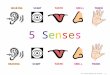 W.E. Cottle Computer Lab Activity – R. Martin 5 Senses HEARINGSIGHTTASTESMELLTOUCH HEARINGSIGHTTASTESMELLTOUCH 5 Senses5 Senses HEARINGSIGHTTASTESMELLTOUCH