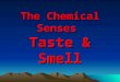 The Chemical Senses Taste & Smell. Taste Sensation Taste Sensation