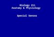 Biology 211 Anatomy & Physiology I Special Senses
