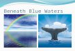 Beneath Blue Waters. Vocabulary Submersible Oceanographers A craft that operates under water Scientists who specialize in the study of the ocean