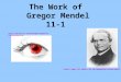 The Work of Gregor Mendel 11-1  20tutorial.htm