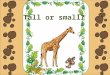 Tall or small?. By Carolyn WilhelmCarolyn Wilhelm Licensed Graphics from The Graphics Factory Wise Owl Factory Licensed Graphics from DigiScraps Studios