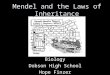 Mendel and the Laws of Inheritance Biology Dobson High School Hope Finzer